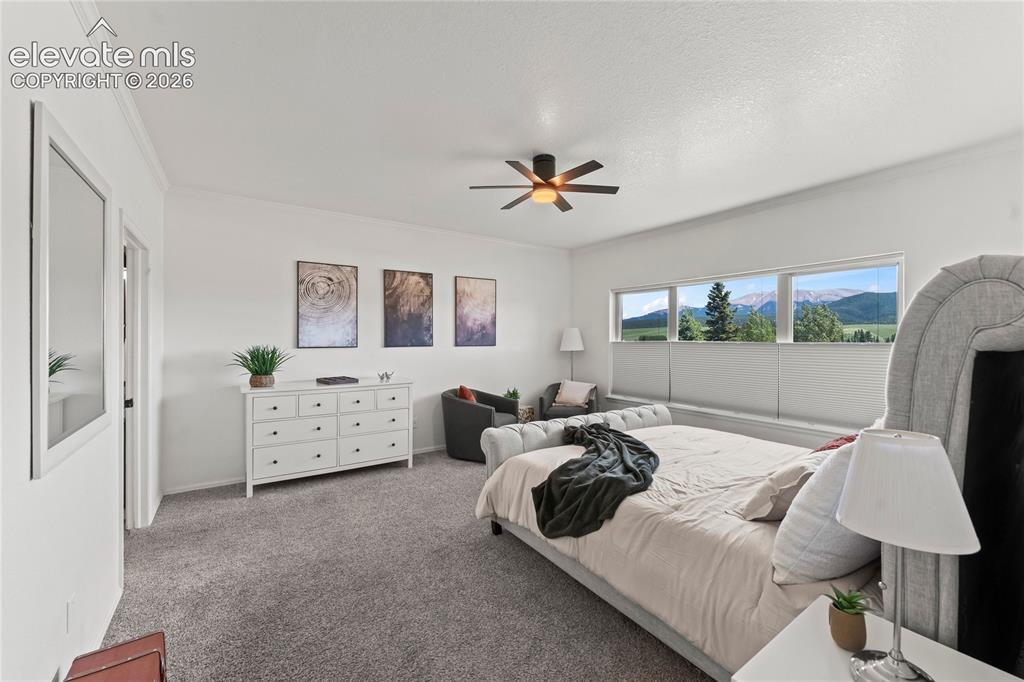 106 Joshua Road Divide CO 80814