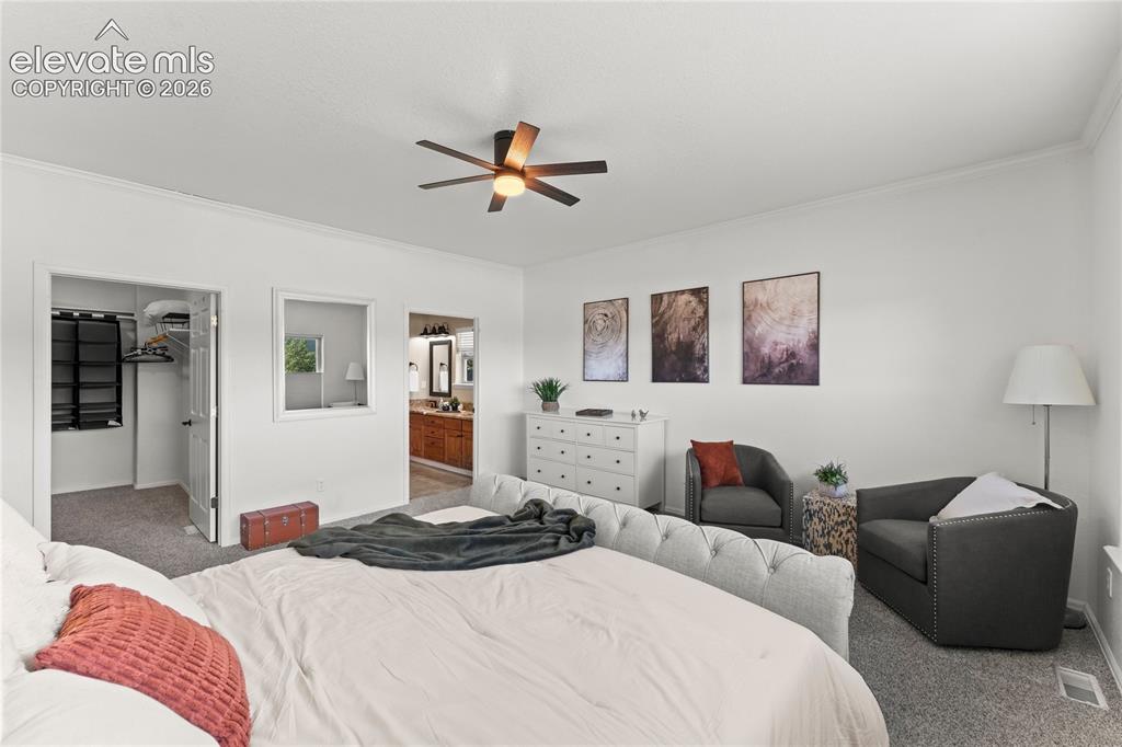 106 Joshua Road Divide CO 80814