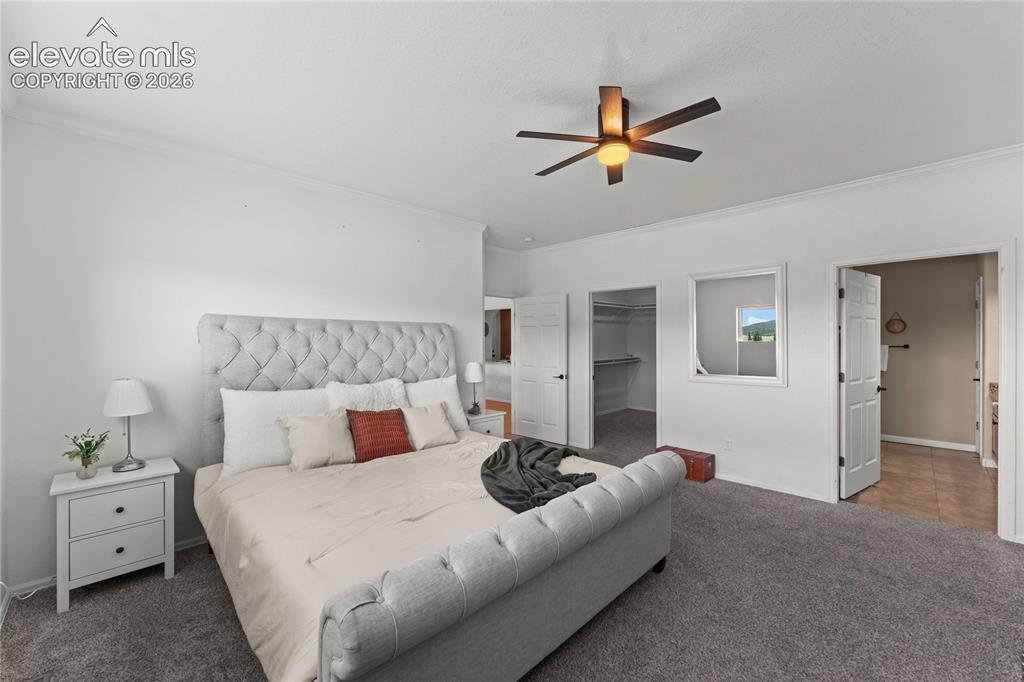 106 Joshua Road Divide CO 80814