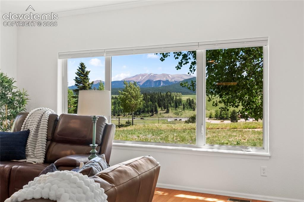 106 Joshua Road Divide CO 80814