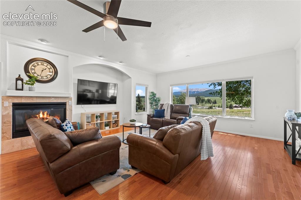 106 Joshua Road Divide CO 80814