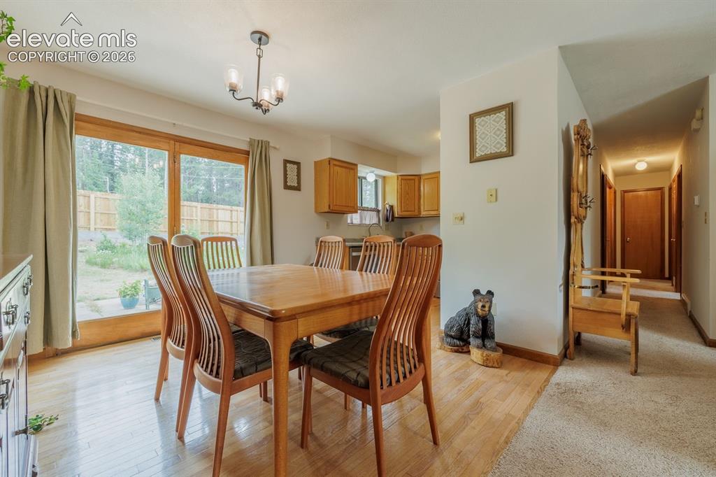 107 Glovers Lane Woodland Park CO 80863