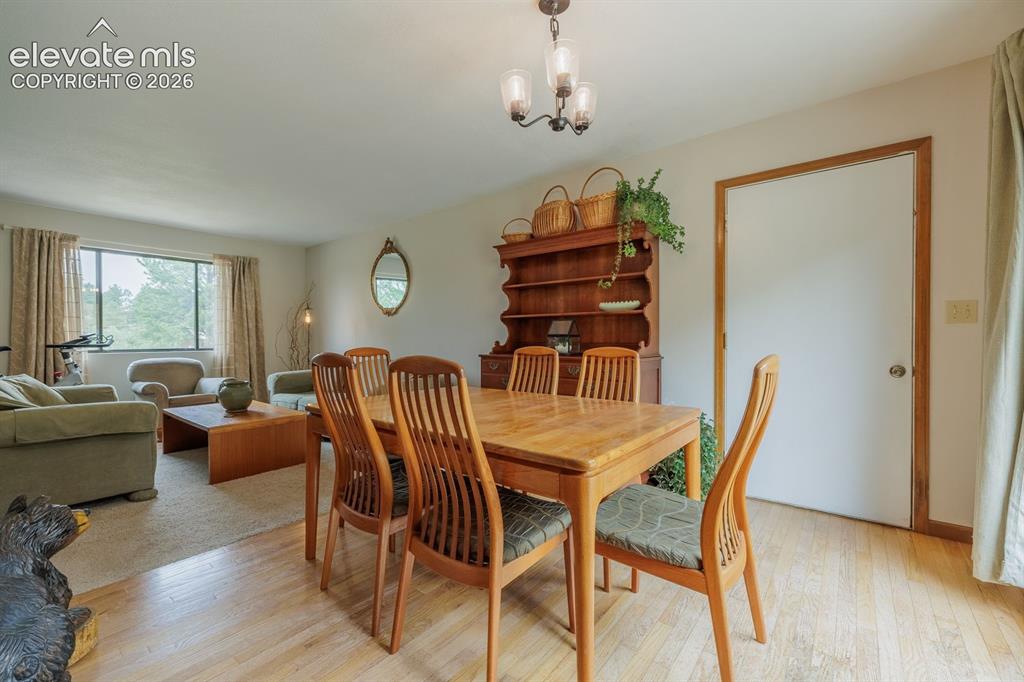 107 Glovers Lane Woodland Park CO 80863