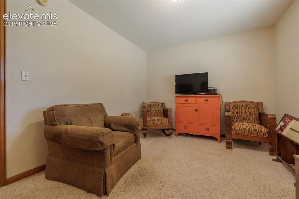 107 Glovers Lane Woodland Park CO 80863