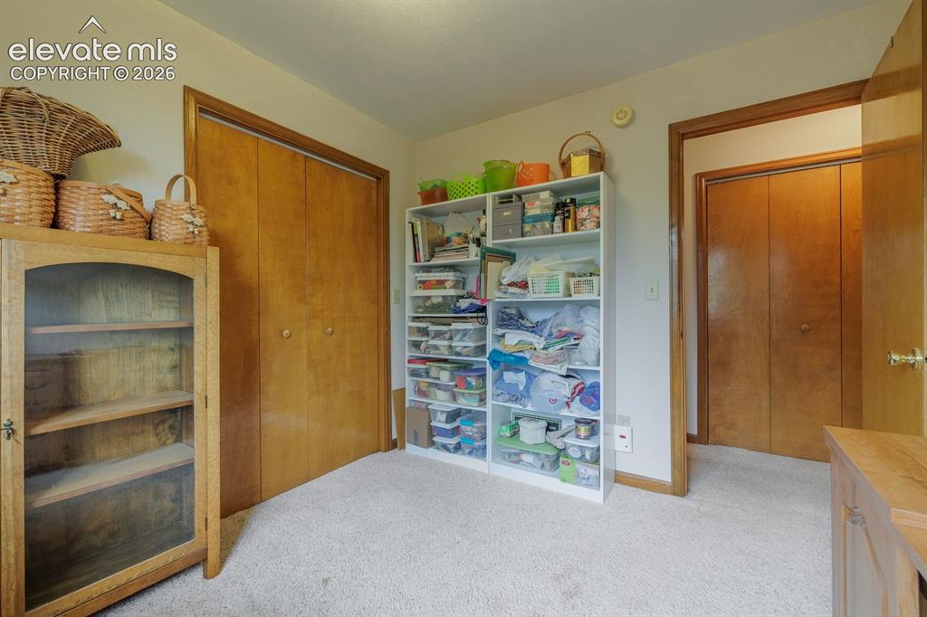 107 Glovers Lane Woodland Park CO 80863