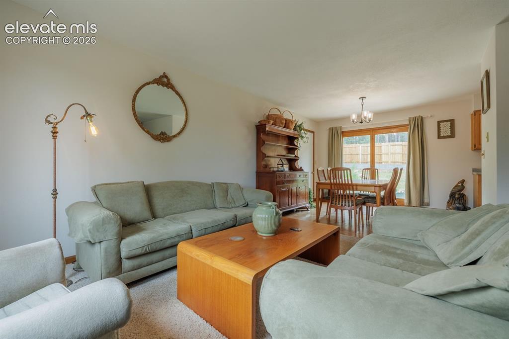 107 Glovers Lane Woodland Park CO 80863