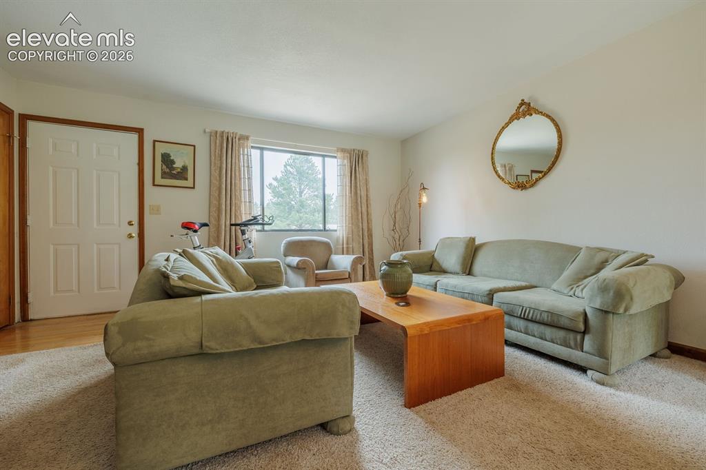 107 Glovers Lane Woodland Park CO 80863