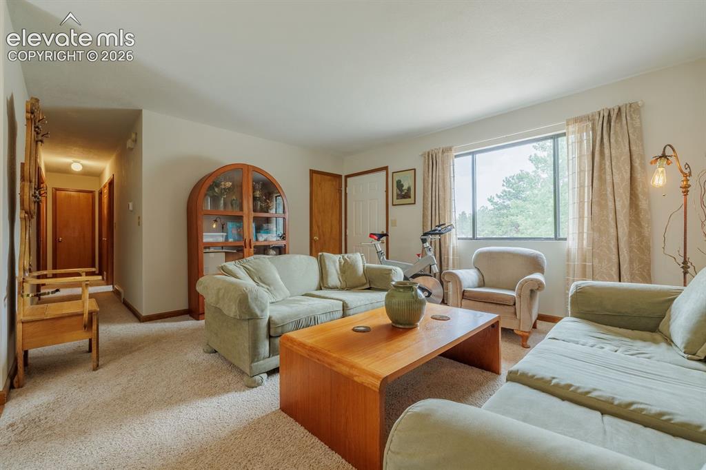 107 Glovers Lane Woodland Park CO 80863