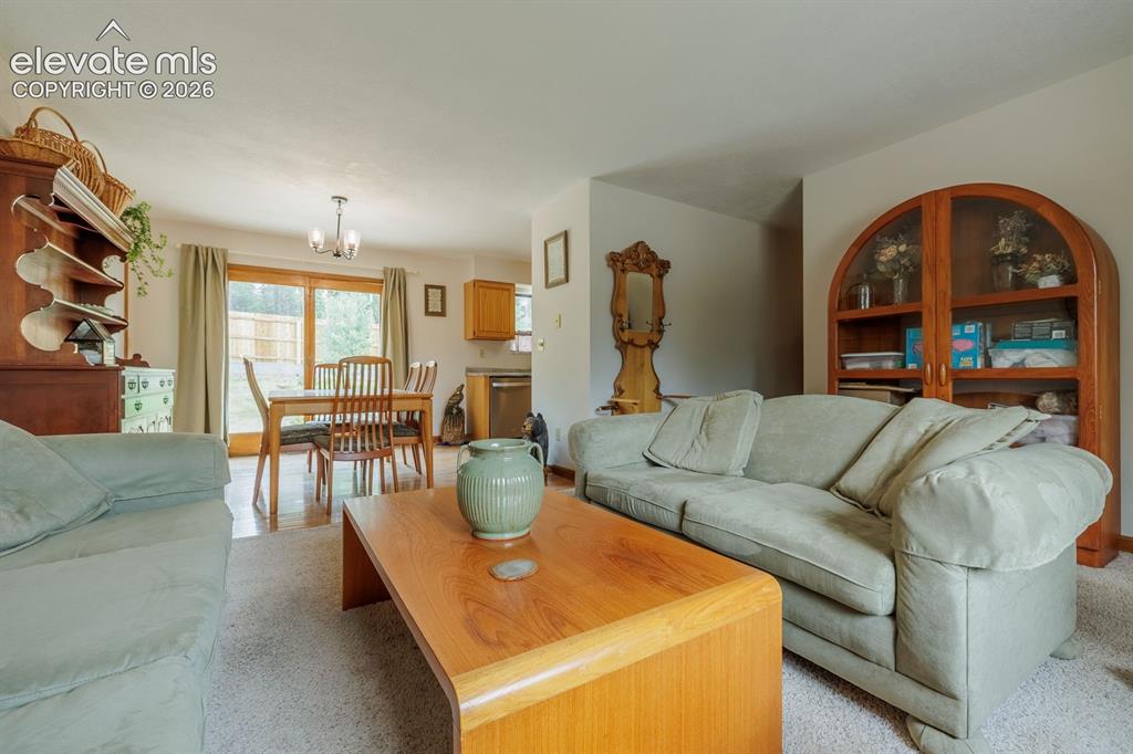 107 Glovers Lane Woodland Park CO 80863