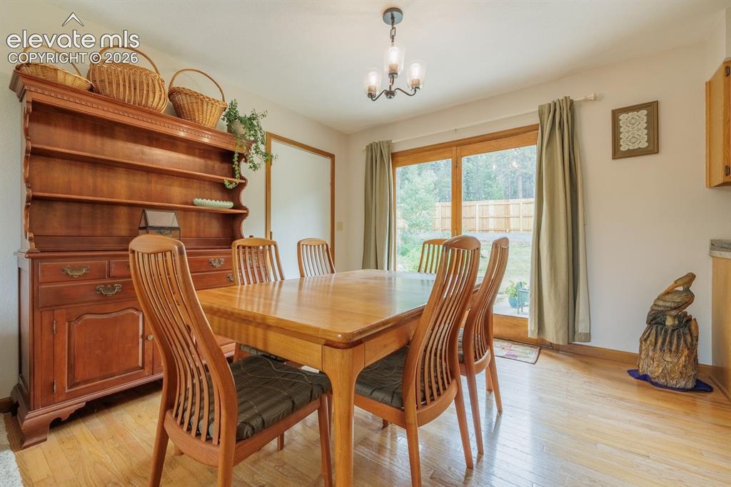 107 Glovers Lane Woodland Park CO 80863