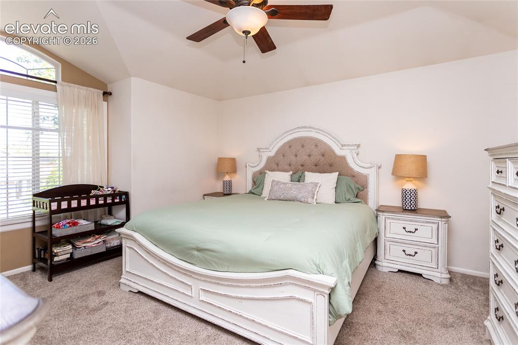 380 Dunhill Street Castle Rock CO 80104