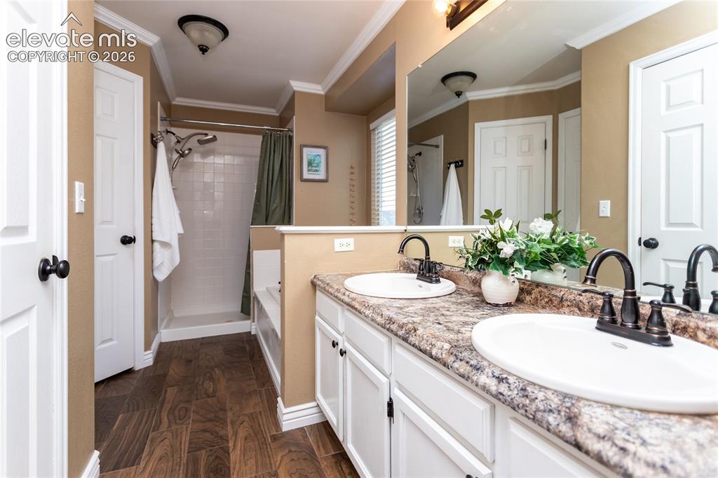 380 Dunhill Street Castle Rock CO 80104