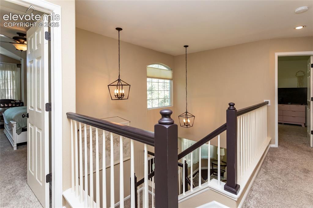 380 Dunhill Street Castle Rock CO 80104