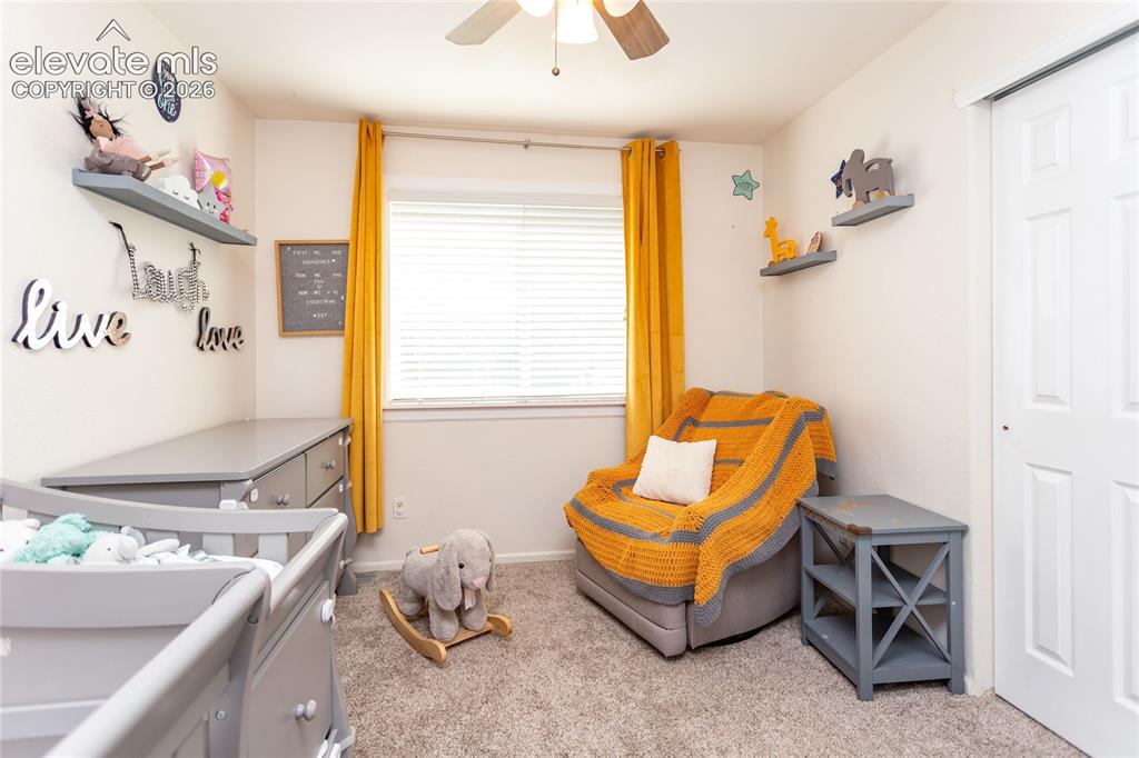 380 Dunhill Street Castle Rock CO 80104