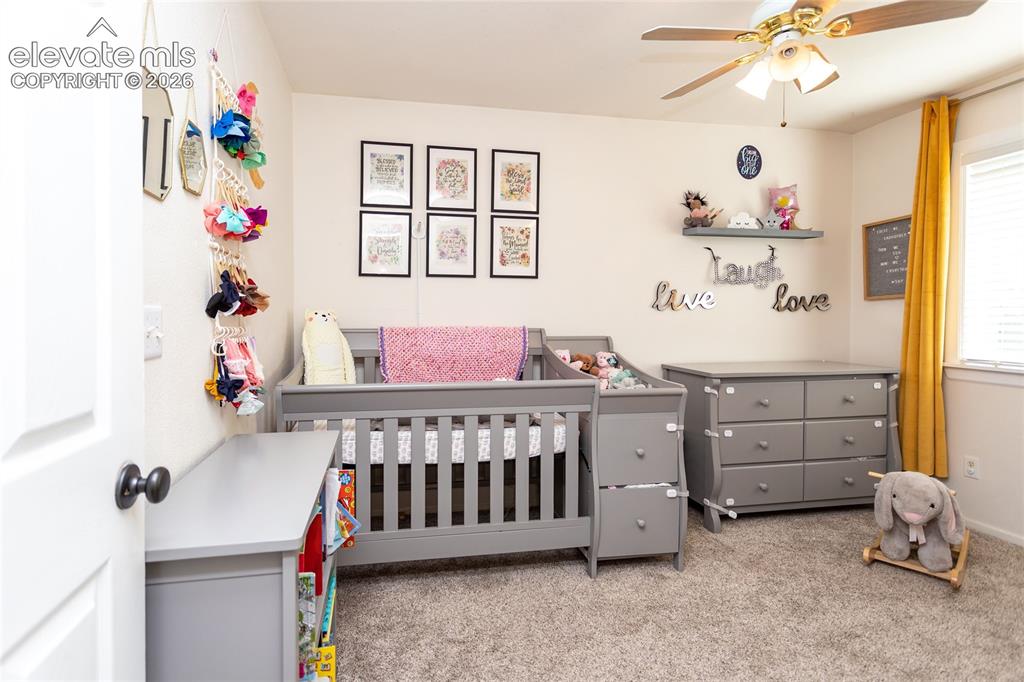 380 Dunhill Street Castle Rock CO 80104