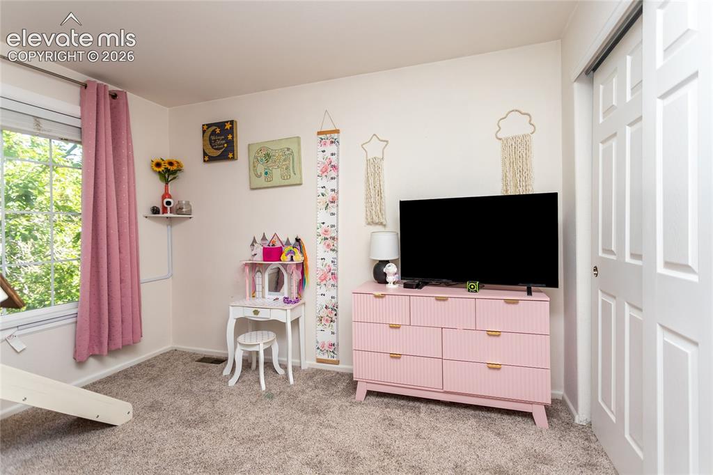 380 Dunhill Street Castle Rock CO 80104