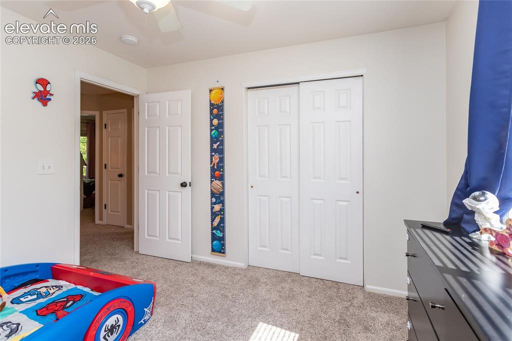 380 Dunhill Street Castle Rock CO 80104