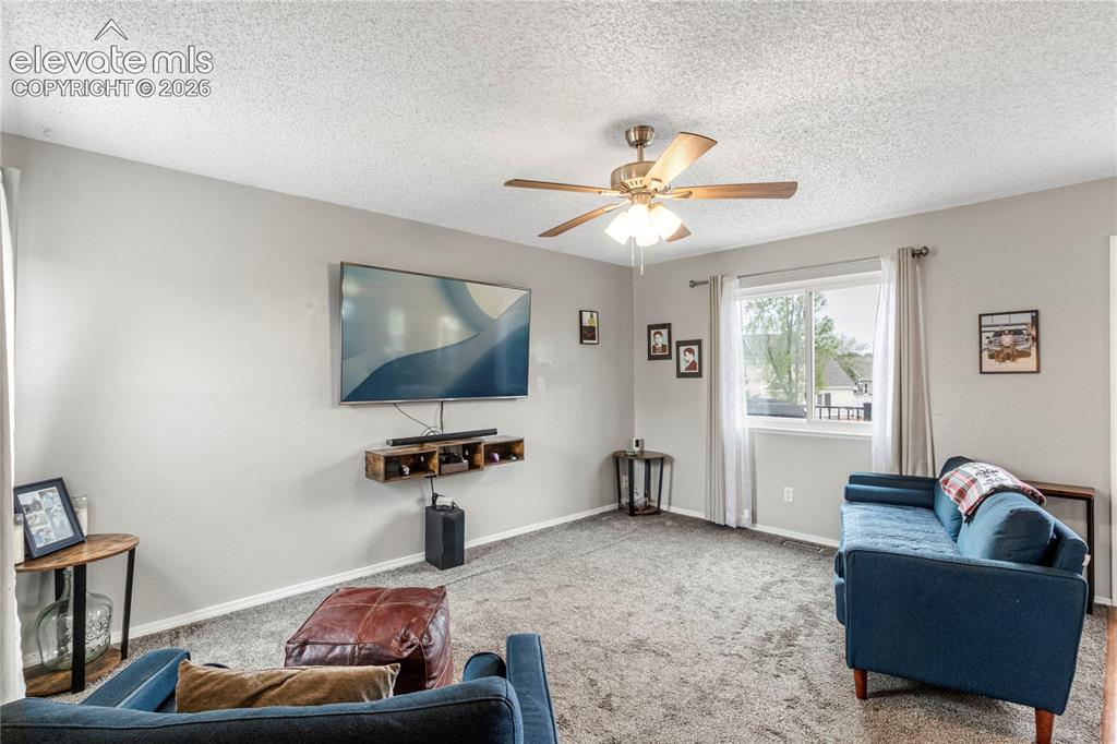 4660 Badlands Court Colorado Springs CO 80922