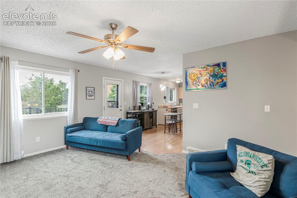 4660 Badlands Court Colorado Springs CO 80922