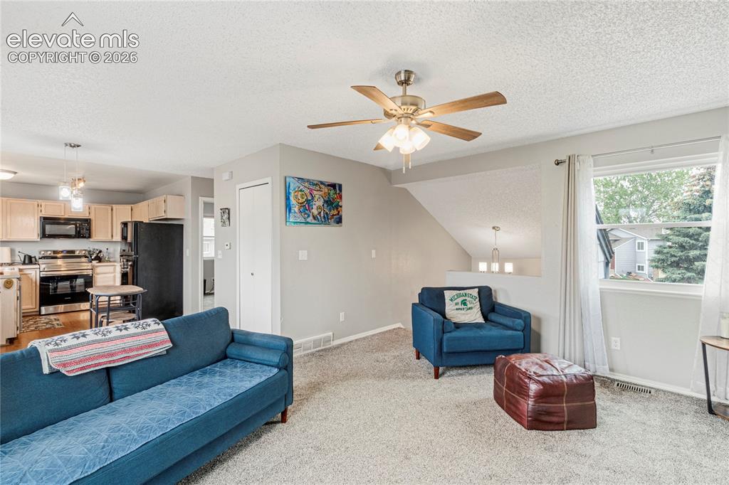 4660 Badlands Court Colorado Springs CO 80922