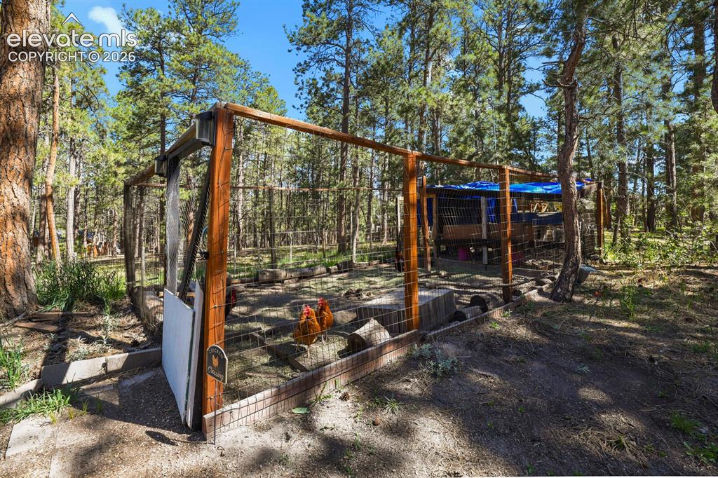 17885 Woodhaven Drive Colorado Springs CO 80908