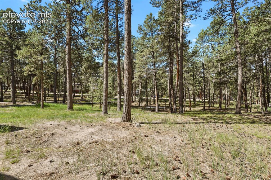17885 Woodhaven Drive Colorado Springs CO 80908