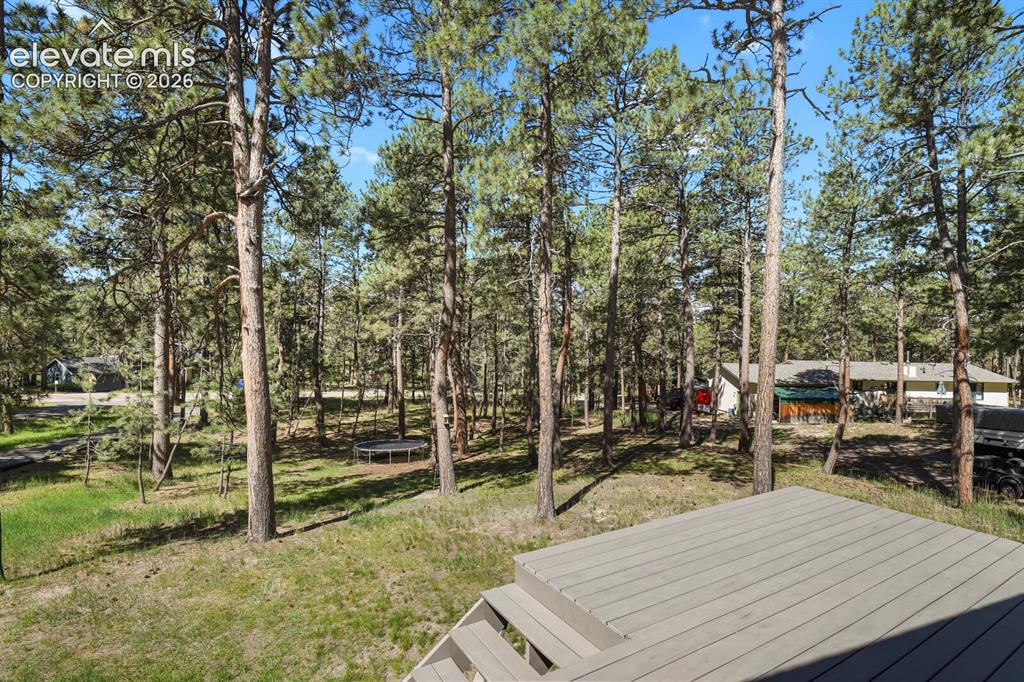 17885 Woodhaven Drive Colorado Springs CO 80908