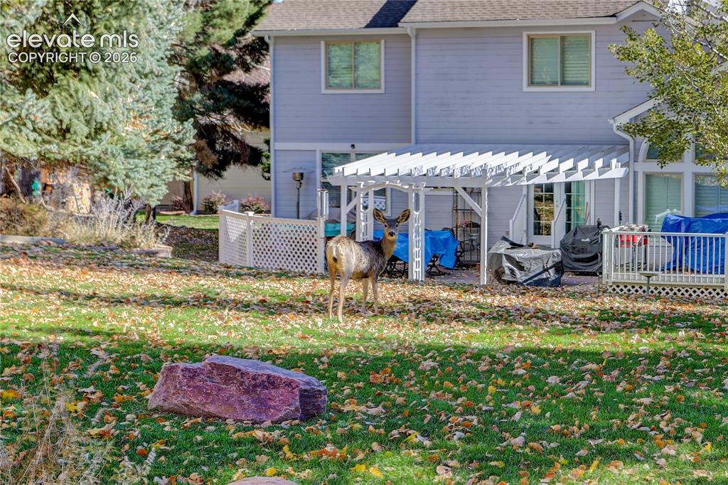 2360 Kittridge Avenue Colorado Springs CO 80919