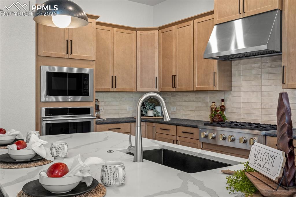 17137 Alsike Clover Court Monument CO 80132