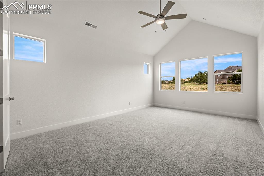 17137 Alsike Clover Court Monument CO 80132