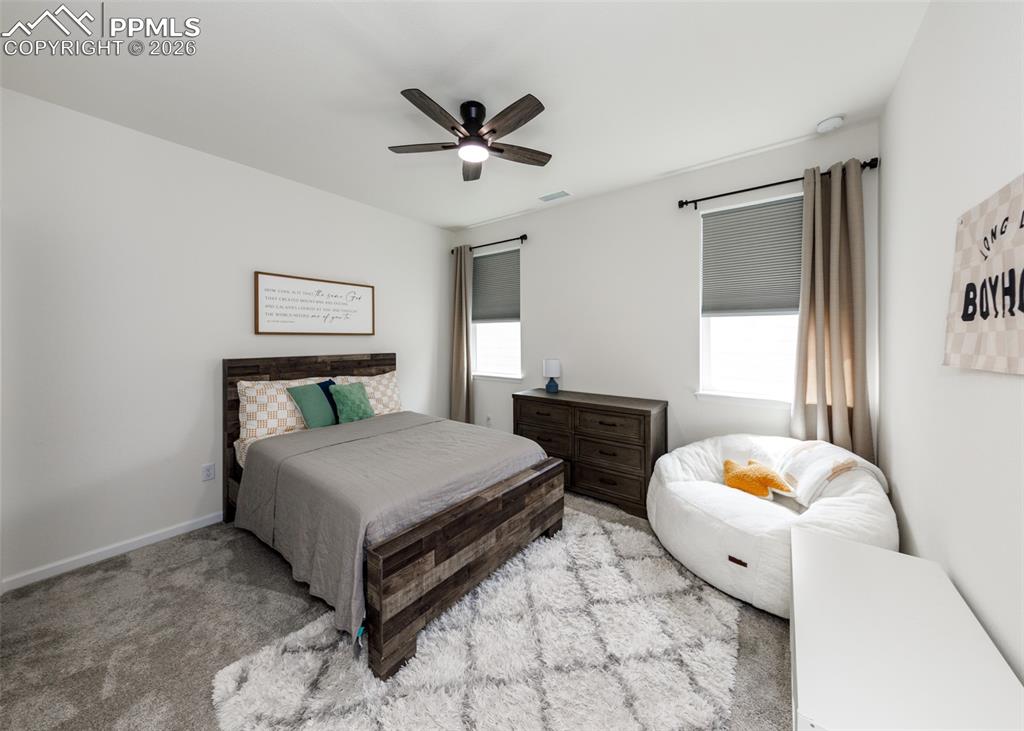 110 Kitselman Drive Castle Rock CO 80104
