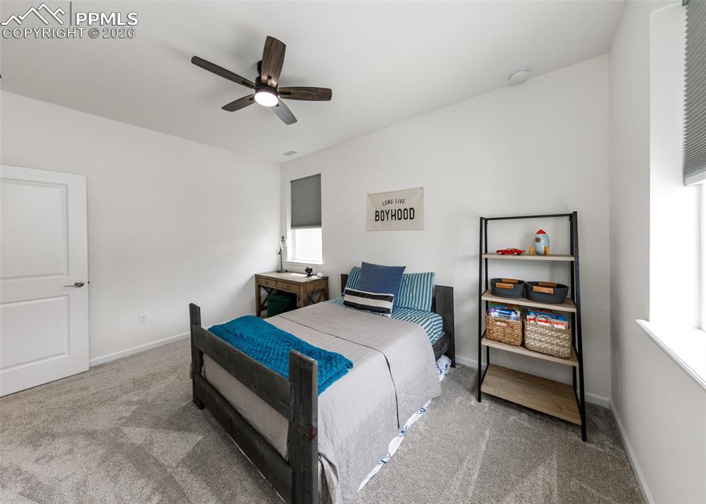 110 Kitselman Drive Castle Rock CO 80104