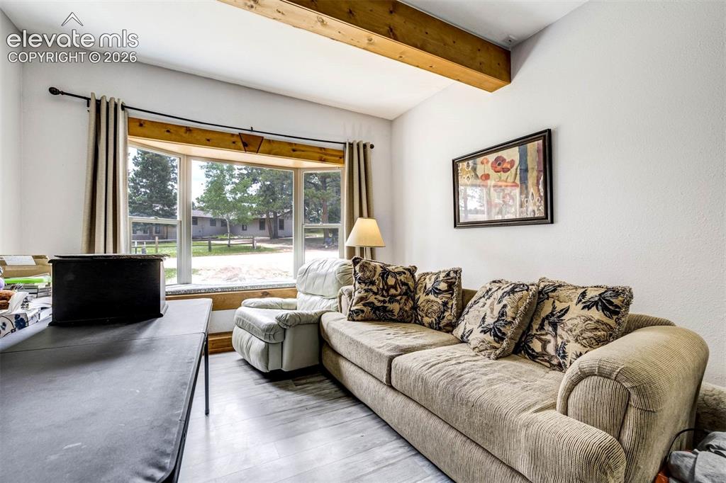 53 Bluebird Hill Road Woodland Park CO 80863