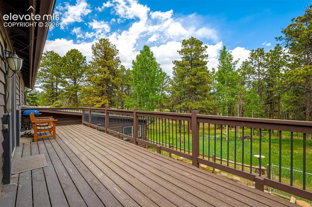 53 Bluebird Hill Road Woodland Park CO 80863