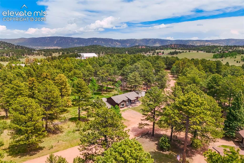 53 Bluebird Hill Road Woodland Park CO 80863