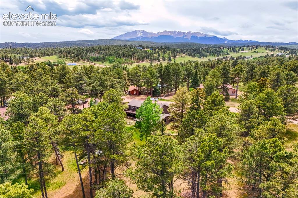 53 Bluebird Hill Road Woodland Park CO 80863