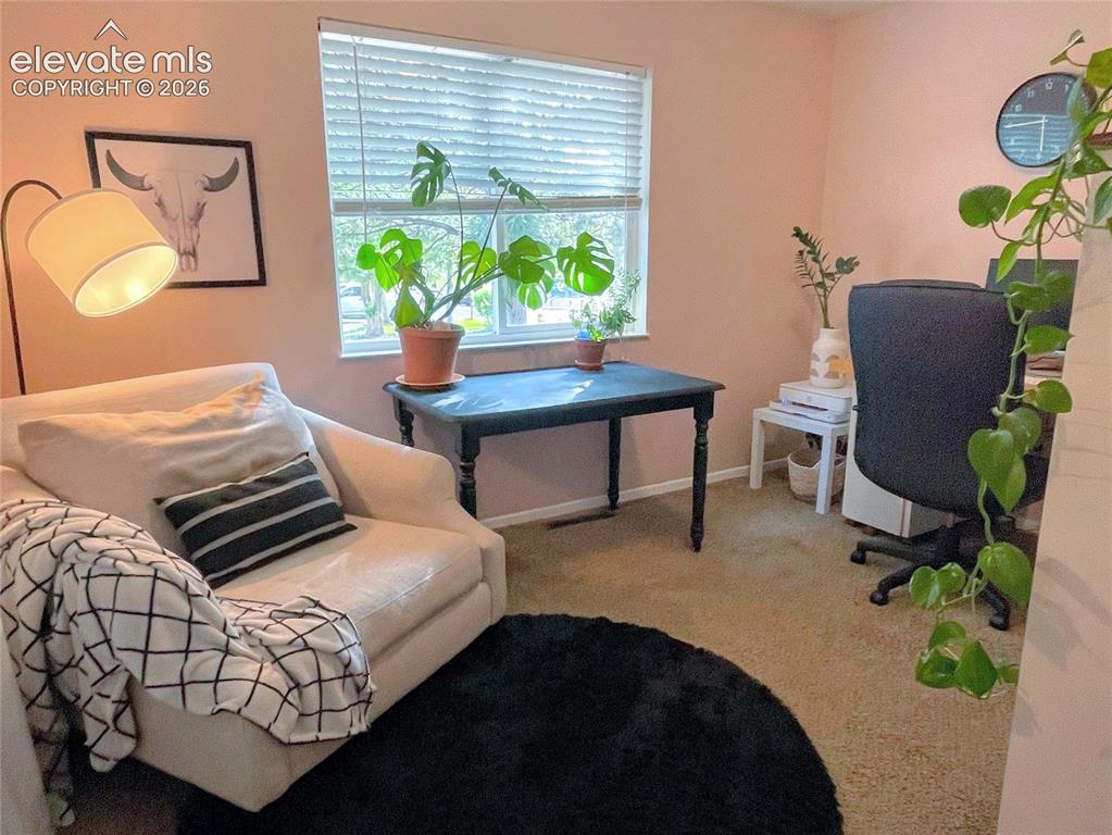 5107 Sonata Drive Colorado Springs CO 80918