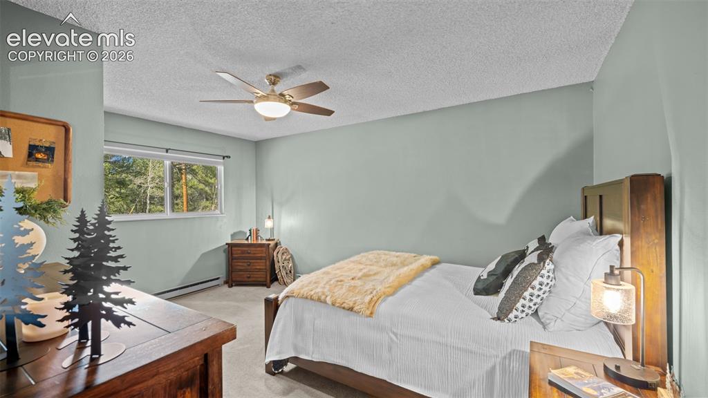 120 Elkhorn Drive Woodland Park CO 80863