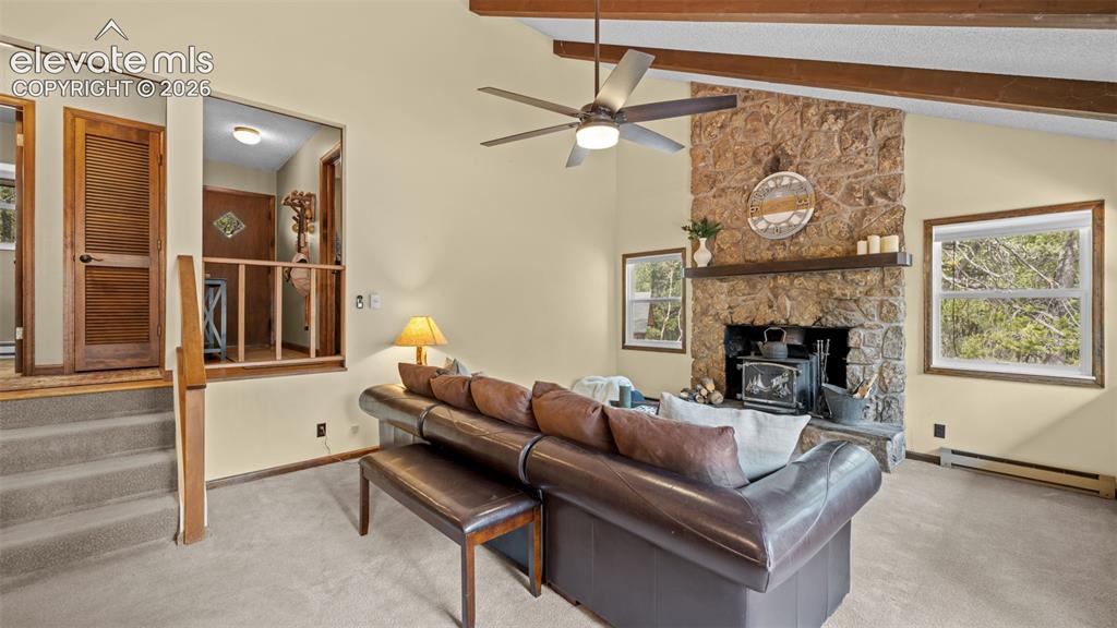 120 Elkhorn Drive Woodland Park CO 80863