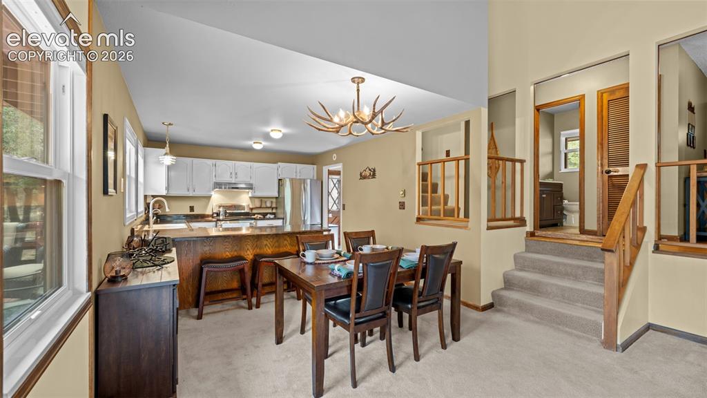 120 Elkhorn Drive Woodland Park CO 80863