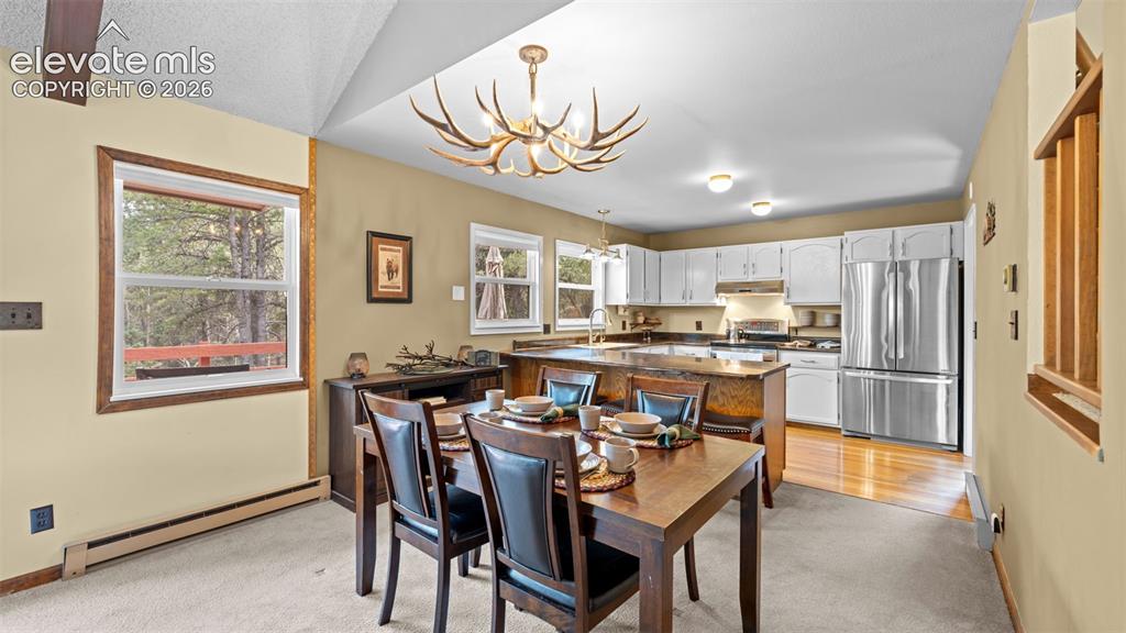 120 Elkhorn Drive Woodland Park CO 80863