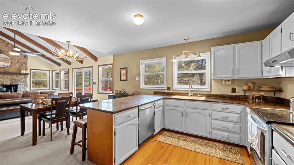 120 Elkhorn Drive Woodland Park CO 80863