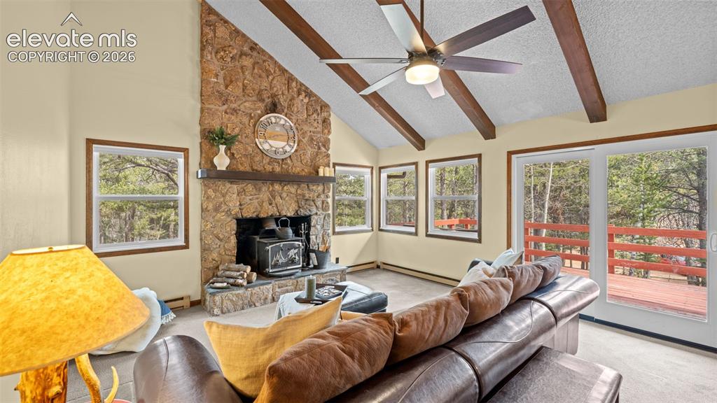 120 Elkhorn Drive Woodland Park CO 80863