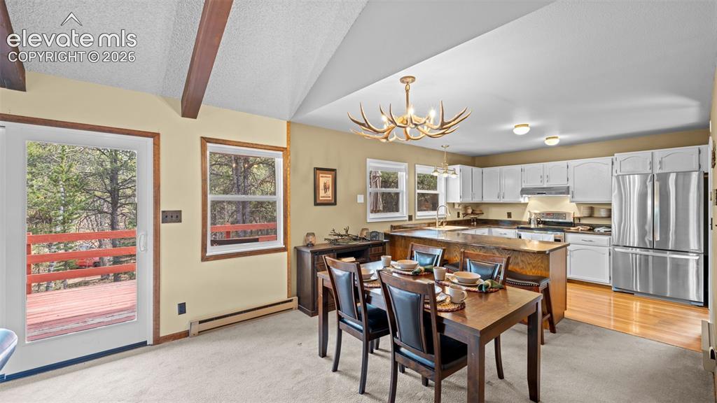 120 Elkhorn Drive Woodland Park CO 80863