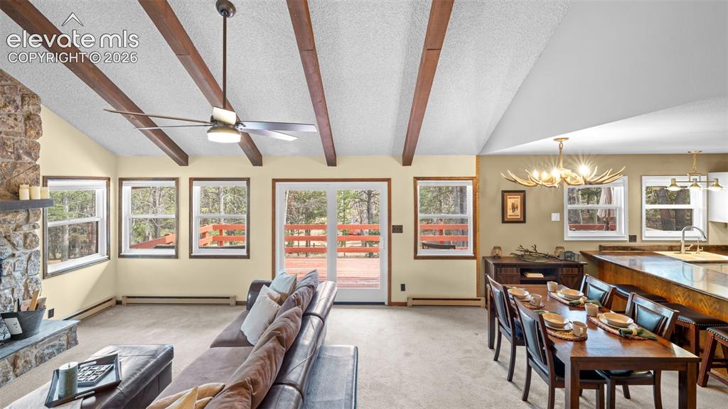 120 Elkhorn Drive Woodland Park CO 80863