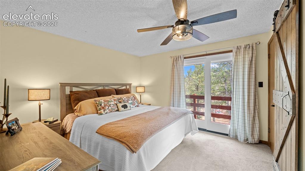 120 Elkhorn Drive Woodland Park CO 80863
