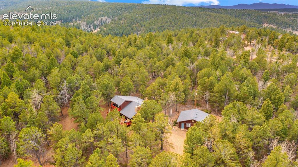 120 Elkhorn Drive Woodland Park CO 80863