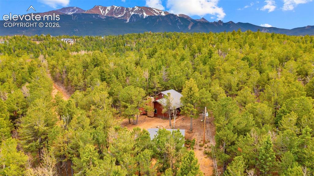 120 Elkhorn Drive Woodland Park CO 80863