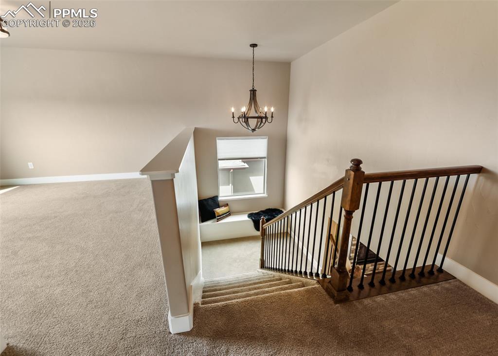 1118 Seabiscuit Drive Colorado Springs CO 80921