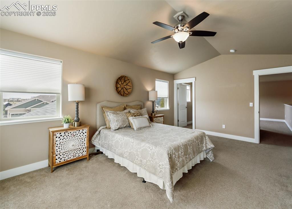 1118 Seabiscuit Drive Colorado Springs CO 80921